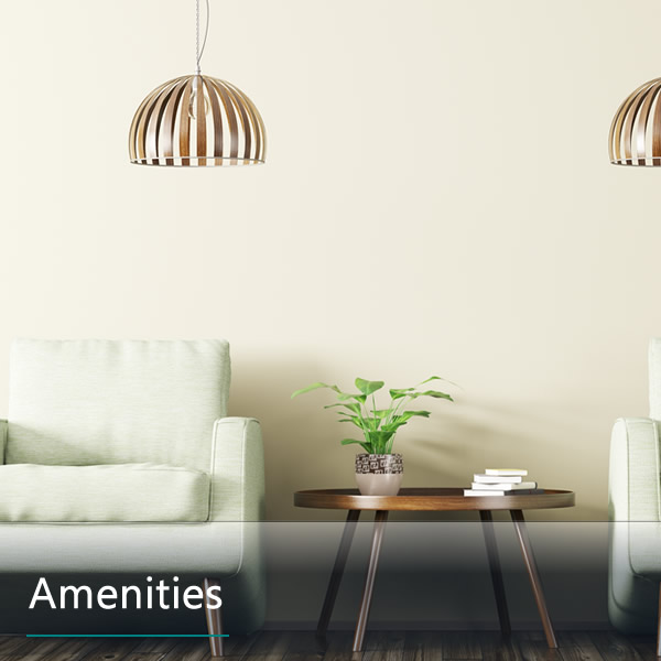 Features and Amenities